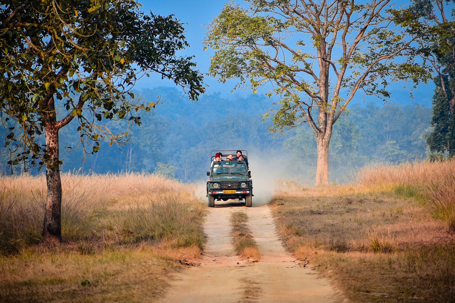An open safari gypsy on a track through lush green jungle