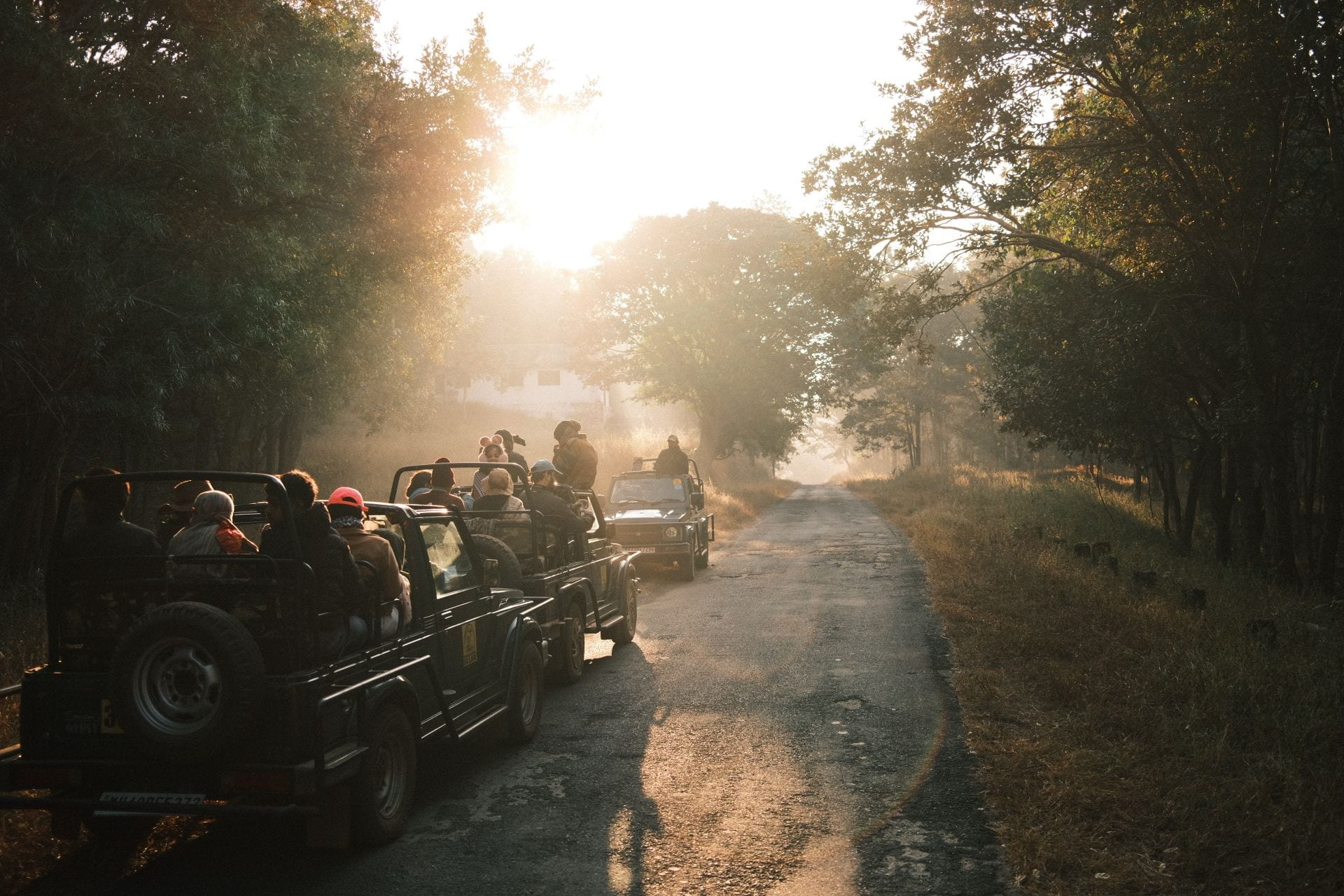 A group of guests setting out on safari in open jeeps at sunrise