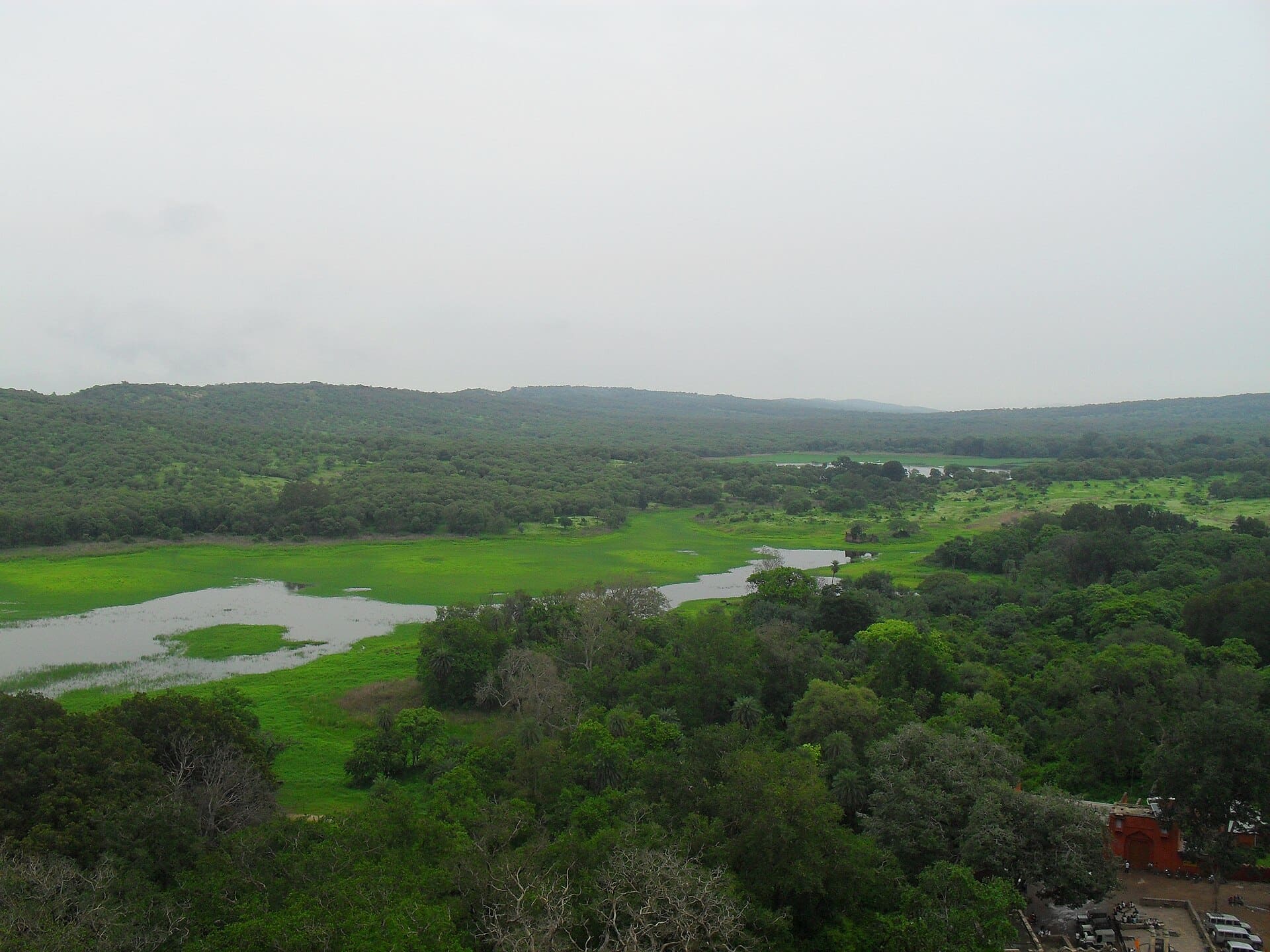 The Aravalli hills of Ranthambore after the rains