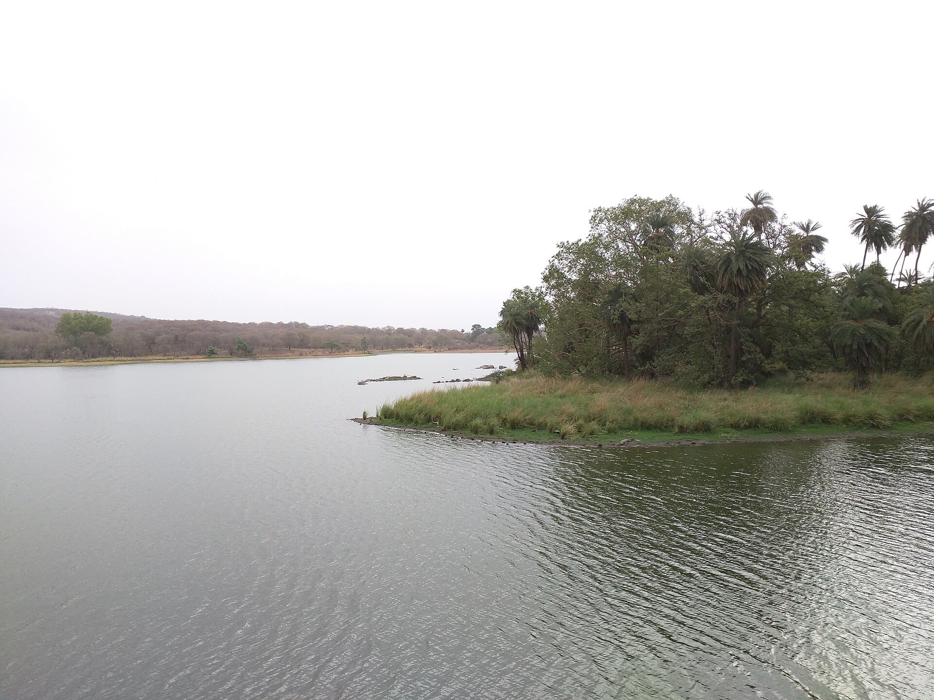 Scenic landscape within Ranthambore Tiger Reserve